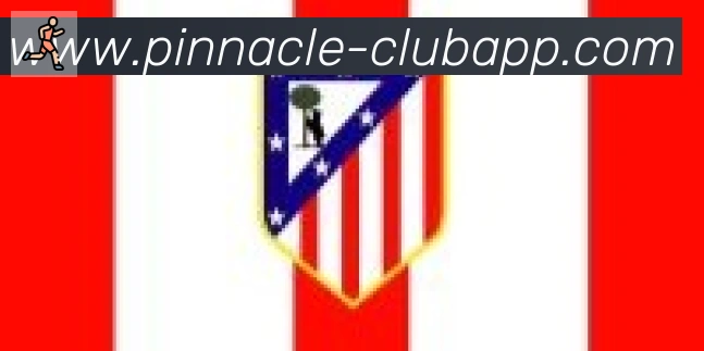 平博pinnacle体育合作伙伴